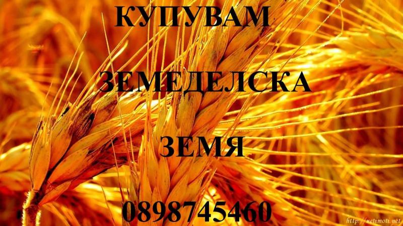 земеделска земя в Бургас - Център - категория купува - 2147483647 м2 на цена договаряне