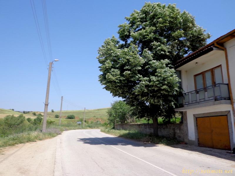 Снимка 5 на парцел в Благоевград област - с.Хотово в категория недвижими имоти продава - 1450 м2 на цена  9900 EUR 