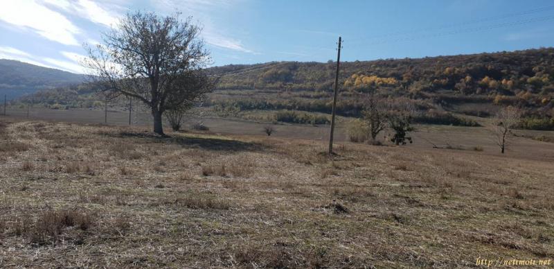 Снимка 4 на земеделска земя в Шумен област - гр.Велики Преслав в категория недвижими имоти продава - 8000 м2 на цена  3835 EUR 