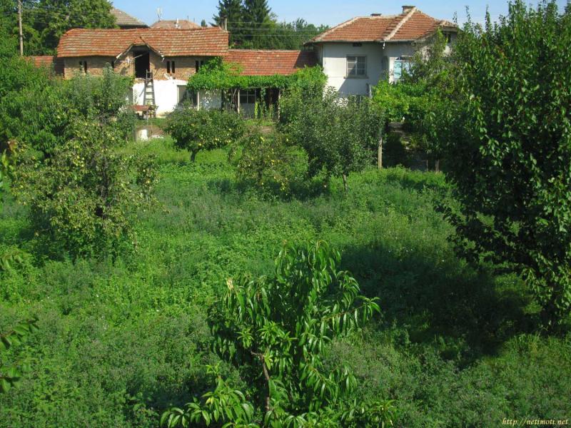 Снимка 3 на къща в Плевен област - с.Гривица в категория недвижими имоти продава - 1600 м2 на цена  40000 EUR 