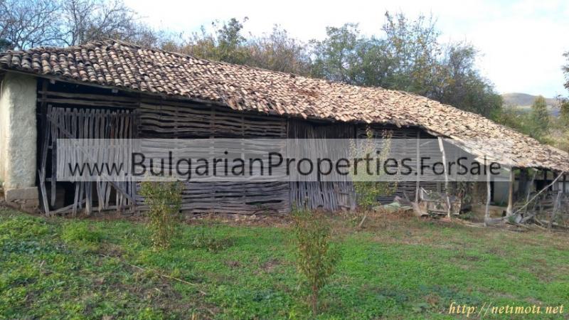 Снимка 4 на къща в Търговище област - с.Паламарца в категория недвижими имоти продава - 2500 м2 на цена  7750 EUR 