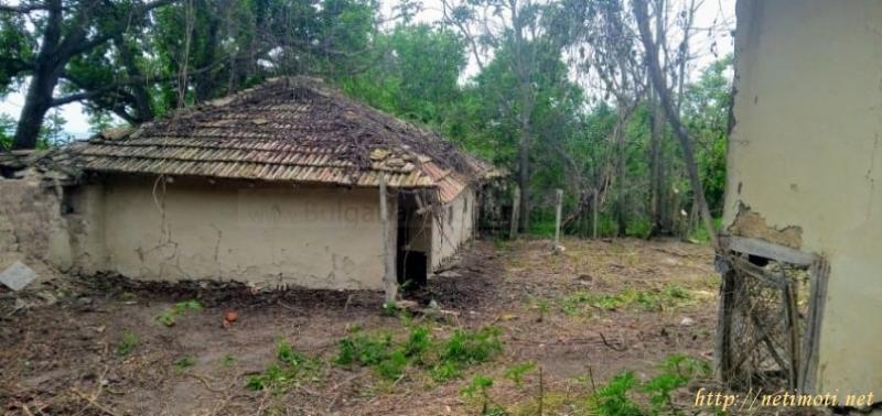 Снимка 2 на къща в Търговище област - с.Помощица в категория недвижими имоти продава - 2000 м2 на цена  5200 EUR 