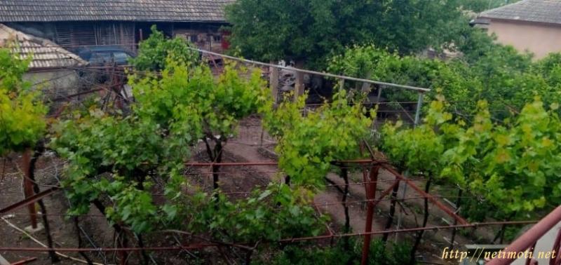 Снимка 7 на къща в Търговище област - с.Садина в категория недвижими имоти продава - 500 м2 на цена  15500 EUR 