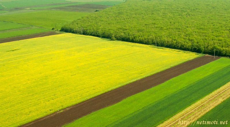 земеделска земя в Кюстендил област - гр.Сапарева Баня - категория купува - 1 м2 на цена договаряне