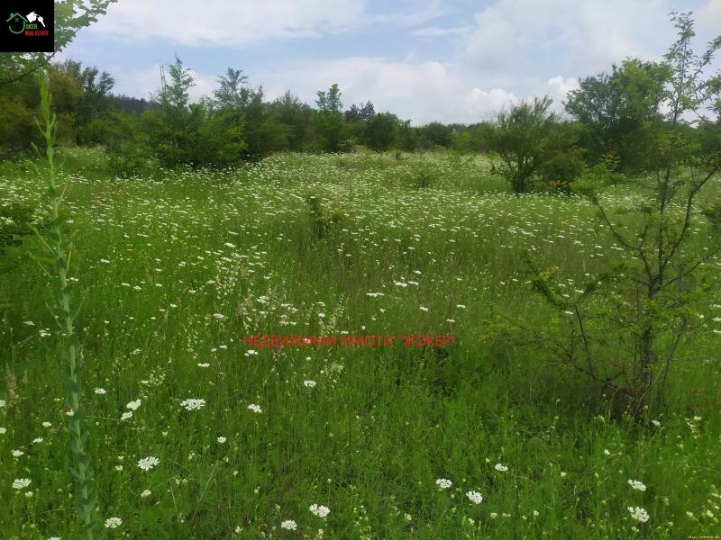 Снимка 0 на земеделска земя в Велико Търново област - с.Леденик в категория недвижими имоти продава - 6499 м2 на цена  32500 EUR 