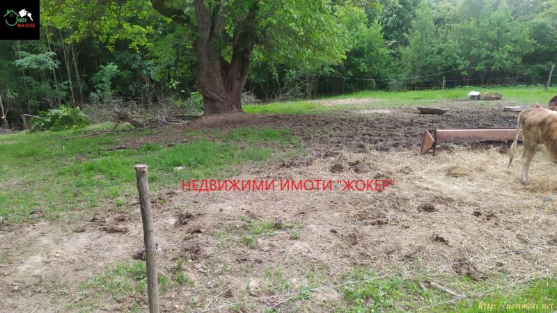 Снимка 2 на парцел в  - с.Габровци в категория недвижими имоти продава - 2011 м2 на цена  21500 EUR 