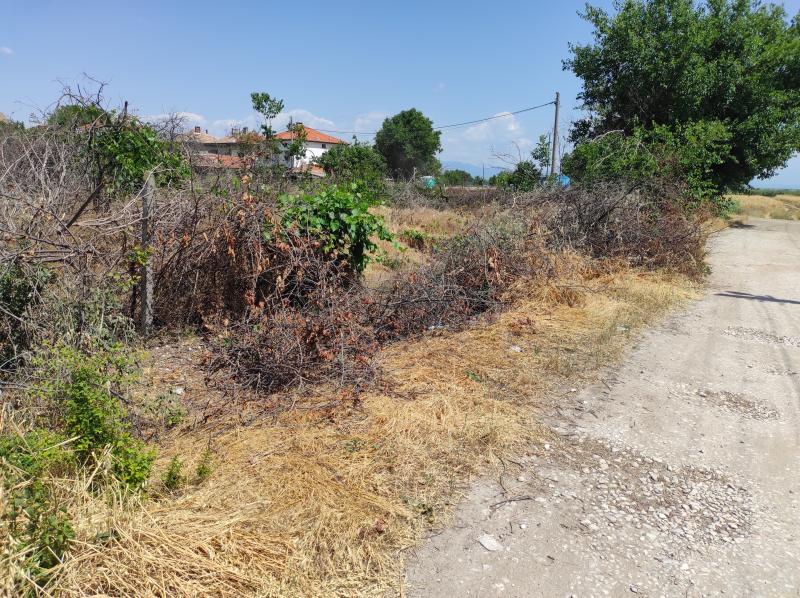 Снимка 4 на парцел в Русе - Новата Махала в категория недвижими имоти продава - 1500 м2 на цена  0 EUR 