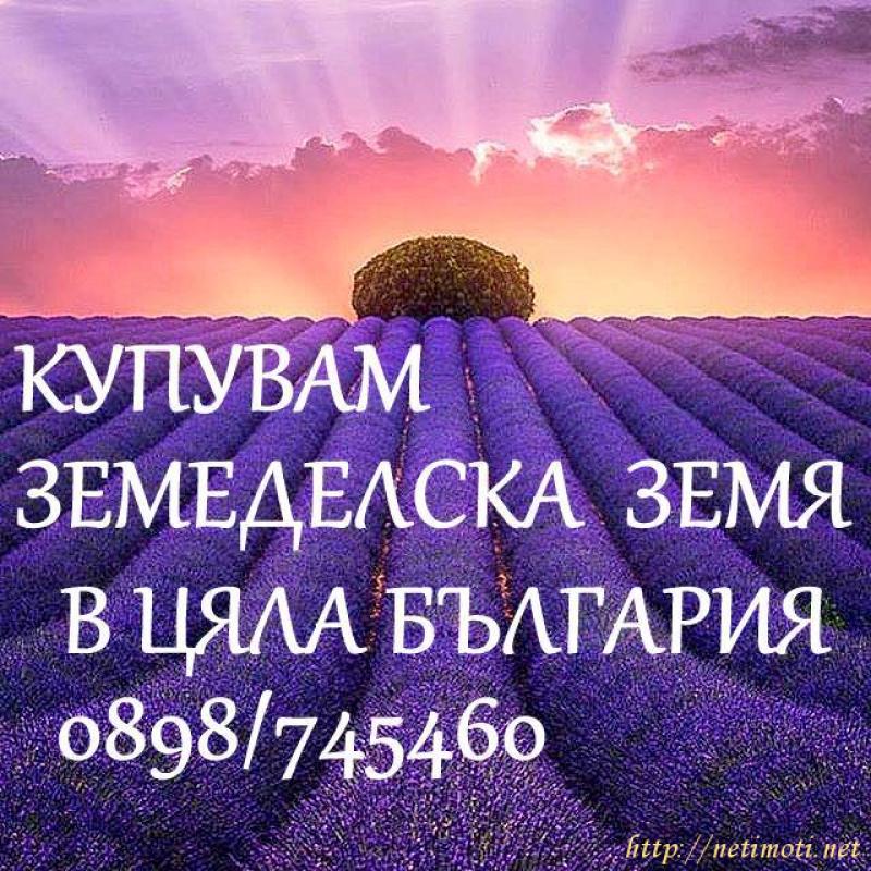 снимка на земеделска земя в Разград Център