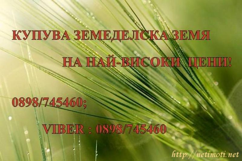 Оферта за недвижим имот с номер 18849: земеделска земя в Велико Търново - Център в категория купува - 2147483647 м2 на цена 1 EUR - снимка номер 0 Снимка 0 на земеделска земя в Велико Търново - Център в категория недвижими имоти купува - 2147483647 м2 на цена 1 EUR