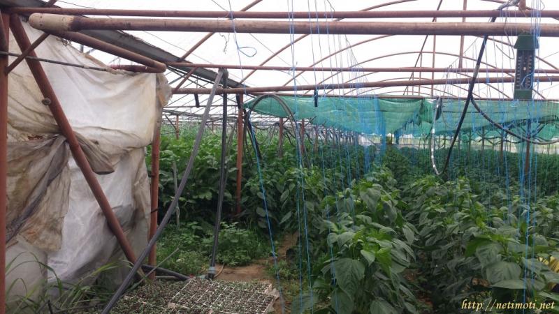 снимка на земеделска земя в Благоевград област гр.Сандански