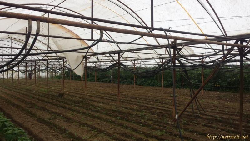 Снимка 1 на земеделска земя в Благоевград област - гр.Сандански в категория недвижими имоти продава - 9500 м2 на цена  0 EUR 