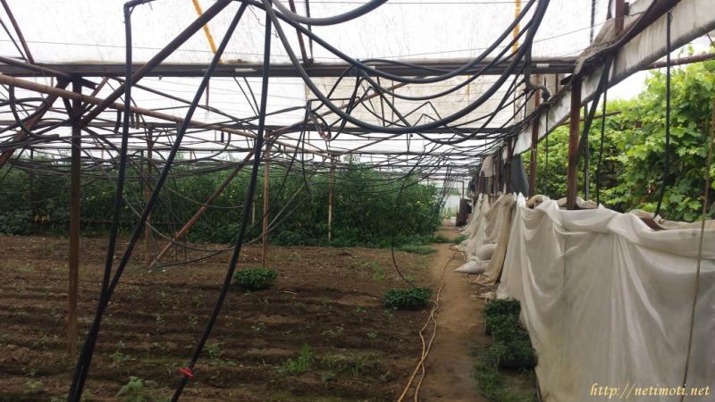 Снимка 3 на земеделска земя в Благоевград област - гр.Сандански в категория недвижими имоти продава - 9500 м2 на цена  0 EUR 