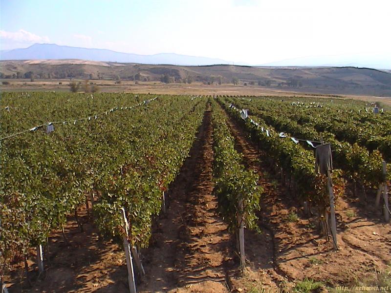 снимка на земеделска земя в Благоевград област гр.Сандански