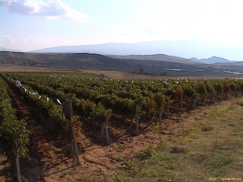 Снимка 2 на земеделска земя в Благоевград област - гр.Сандански в категория недвижими имоти продава - 60000 м2 на цена  0 EUR 