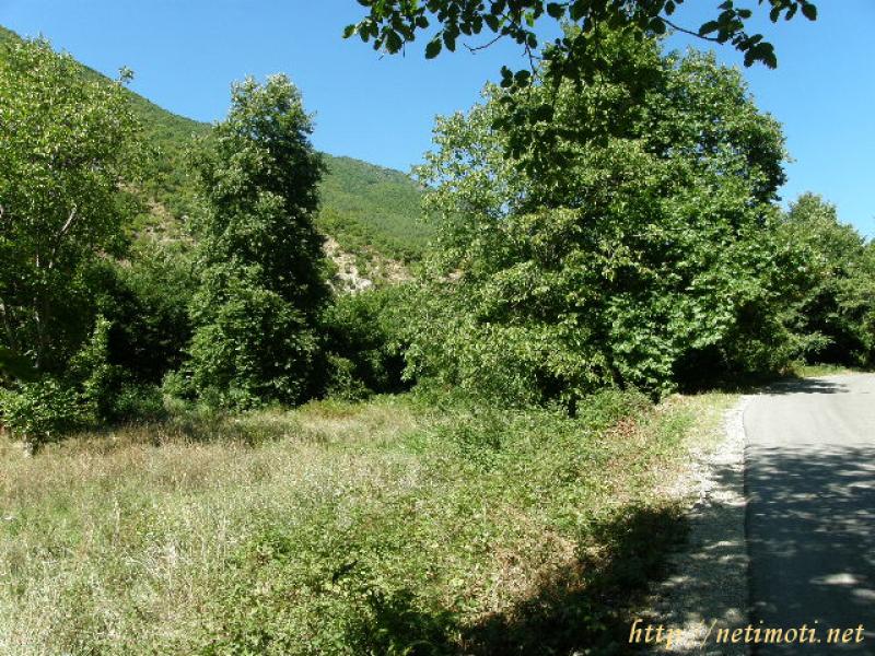 Снимка 1 на парцел в Благоевград област - гр.Сандански в категория недвижими имоти продава - 5784 м2 на цена  0 EUR 