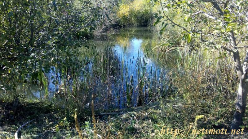 Снимка 5 на парцел в Благоевград област - гр.Гоце Делчев в категория недвижими имоти продава - 4454 м2 на цена  0 EUR 