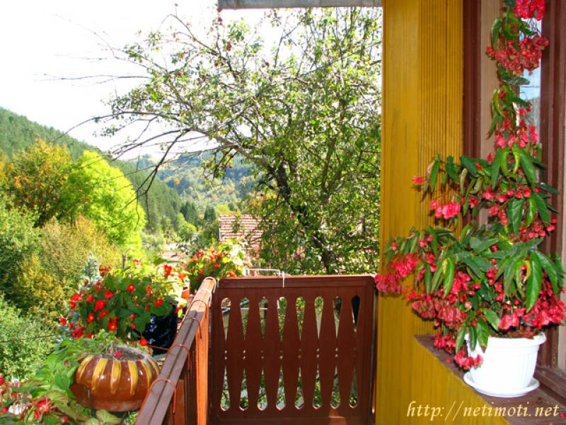 Оферта за недвижим имот с номер 18444: вила в Ловеч област - с.Шипково в категория продава - 70 м2 на цена 30678 EUR - снимка номер 6 Снимка 6 на вила в Ловеч област - с.Шипково в категория недвижими имоти продава - 70 м2 на цена 30678 EUR