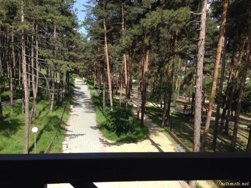 Снимка 2 на магазин в Пазарджик област - гр.Велинград в категория недвижими имоти продава - 60 м2 на цена  47200 EUR 