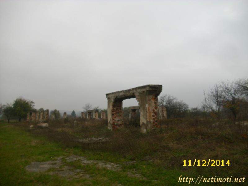 Снимка 3 на земеделска земя в Велико Търново област - гр.Златарица в категория недвижими имоти продава - 9000 м2 на цена  5113 EUR 