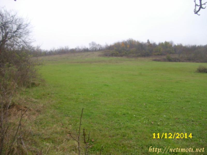 Снимка 4 на земеделска земя в Велико Търново област - гр.Златарица в категория недвижими имоти продава - 9000 м2 на цена  5113 EUR 