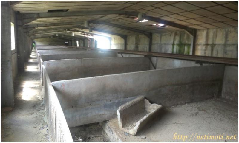 Оферта за недвижим имот с номер 17582: предприятие в Сливен - Българка в категория продава - 3319 м2 на цена 153388 EUR - снимка номер 3 Снимка 3 на предприятие в Сливен - Българка в категория недвижими имоти продава - 3319 м2 на цена 153388 EUR