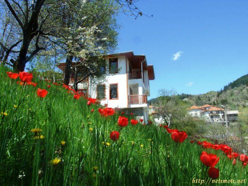 Снимка 2 на къща в Смолян област - с.Момчиловци в категория недвижими имоти продава - 184 м2 на цена  120000 EUR 