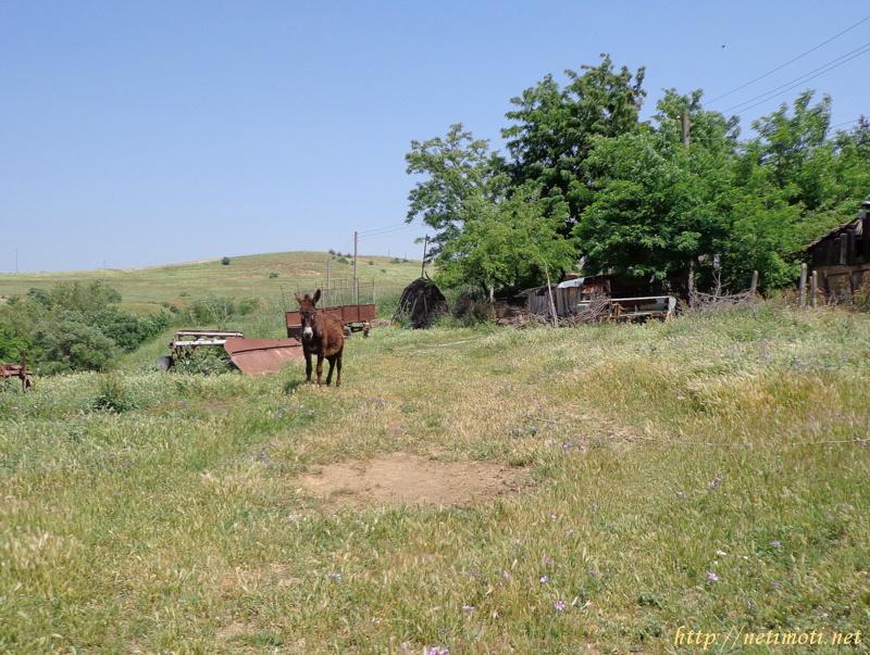 Оферта за недвижим имот с номер 17624: парцел в Благоевград област - с.Хотово в категория продава - 1450 м2 на цена 9900 EUR - снимка номер 2 Снимка 2 на парцел в Благоевград област - с.Хотово в категория недвижими имоти продава - 1450 м2 на цена 9900 EUR