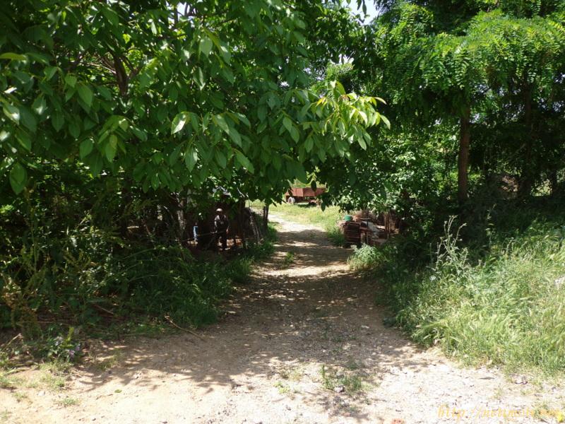 Оферта за недвижим имот с номер 17624: парцел в Благоевград област - с.Хотово в категория продава - 1450 м2 на цена 9900 EUR - снимка номер 3 Снимка 3 на парцел в Благоевград област - с.Хотово в категория недвижими имоти продава - 1450 м2 на цена 9900 EUR