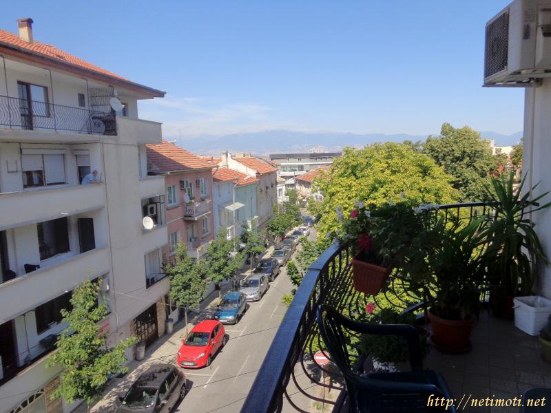 Оферта за недвижим имот с номер 17754: офис в Благоевград област - гр.Петрич в категория продава - 1100 м2 на цена 395000 EUR - снимка номер 6 Снимка 6 на офис в Благоевград област - гр.Петрич в категория недвижими имоти продава - 1100 м2 на цена 395000 EUR