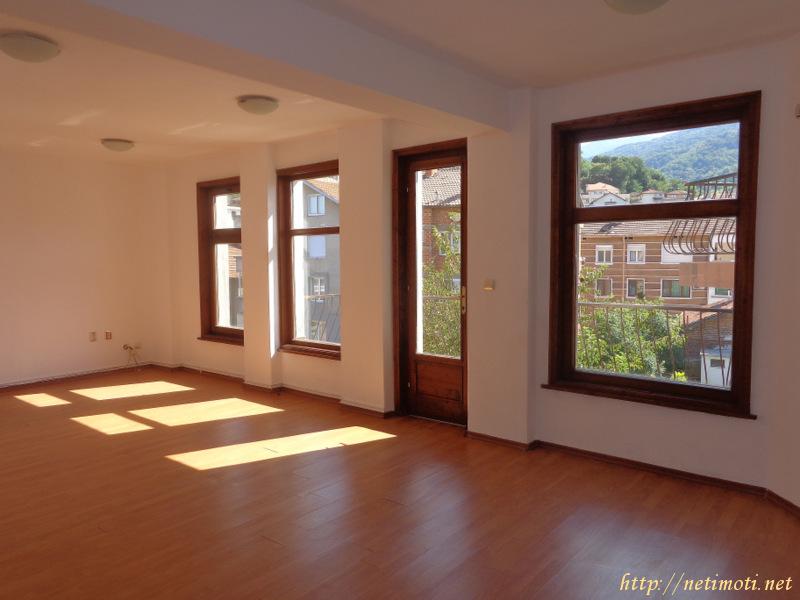 Оферта за недвижим имот с номер 17754: офис в Благоевград област - гр.Петрич в категория продава - 1100 м2 на цена 395000 EUR - снимка номер 7 Снимка 7 на офис в Благоевград област - гр.Петрич в категория недвижими имоти продава - 1100 м2 на цена 395000 EUR