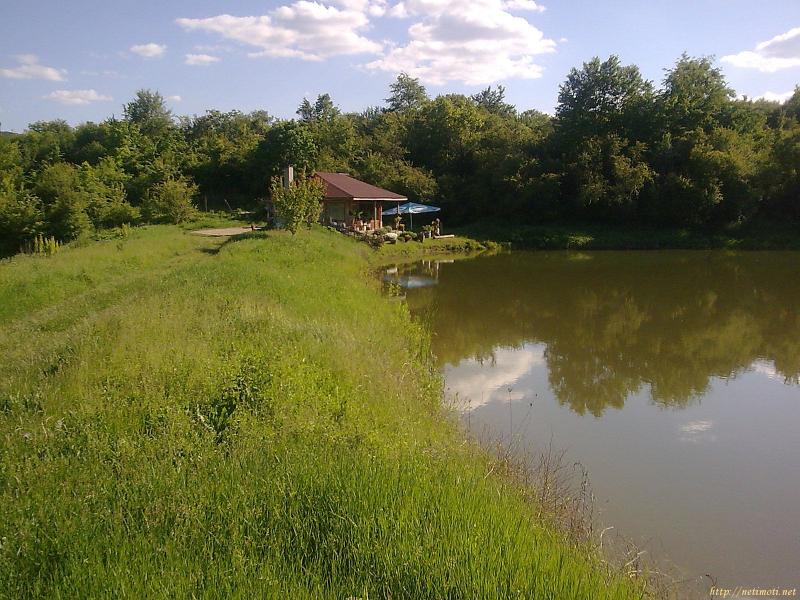 Снимка 6 на парцел в Шумен - Лозево в категория недвижими имоти продава - 22268 м2 на цена  97145 EUR 