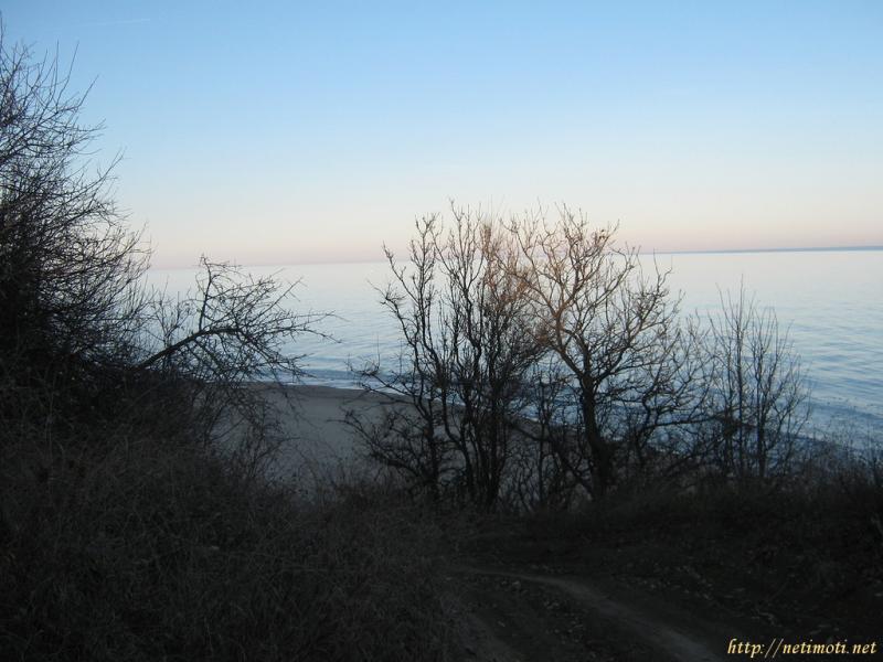 Оферта за недвижим имот с номер 17728: парцел в Бургас област - гр.Обзор в категория продава - 3200 м2 на цена 240000 EUR - снимка номер 0 Снимка 0 на парцел в Бургас област - гр.Обзор в категория недвижими имоти продава - 3200 м2 на цена 240000 EUR