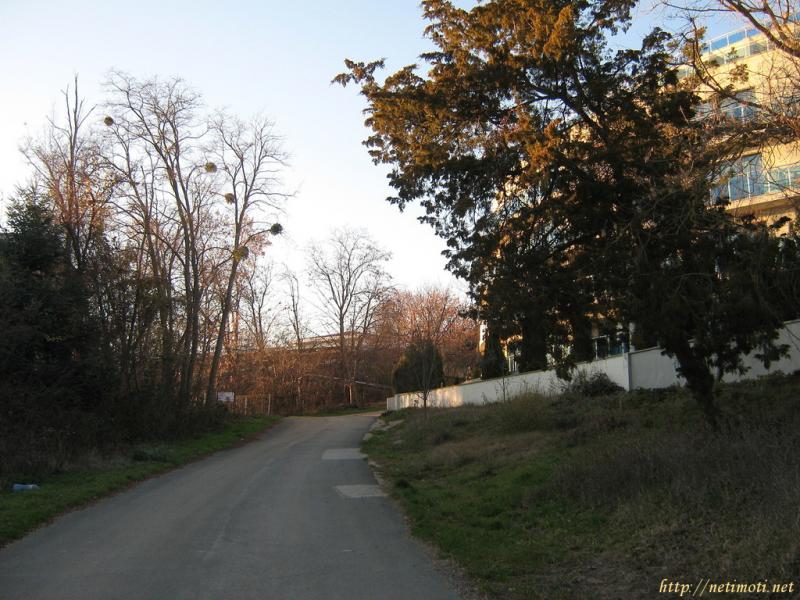 Оферта за недвижим имот с номер 17728: парцел в Бургас област - гр.Обзор в категория продава - 3200 м2 на цена 240000 EUR - снимка номер 7 Снимка 7 на парцел в Бургас област - гр.Обзор в категория недвижими имоти продава - 3200 м2 на цена 240000 EUR