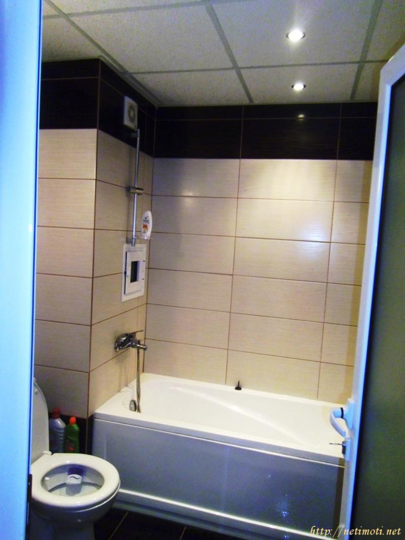 Снимка 6 на едностаен апартамент в Бургас област - к.к.Слънчев Бряг в категория недвижими имоти дава под наем - 39 м2 на цена  102 EUR 