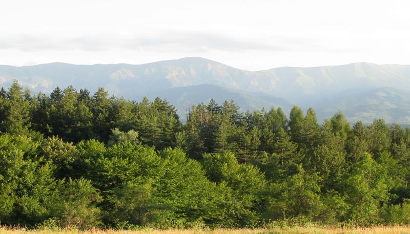 Оферта за недвижим имот с номер 17774: парцел в Ловеч област - гр. Априлци в категория продава - 1774 м2 на цена 20000 EUR - снимка номер 1 Снимка 1 на парцел в Ловеч област - гр. Априлци в категория недвижими имоти продава - 1774 м2 на цена 20000 EUR