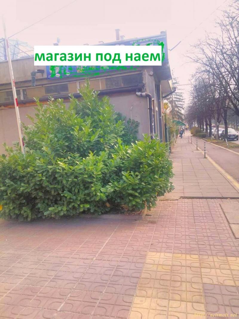 Снимка 1 на магазин в София - Бели Брези в категория недвижими имоти дава под наем - 50 м2 на цена  770 EUR 