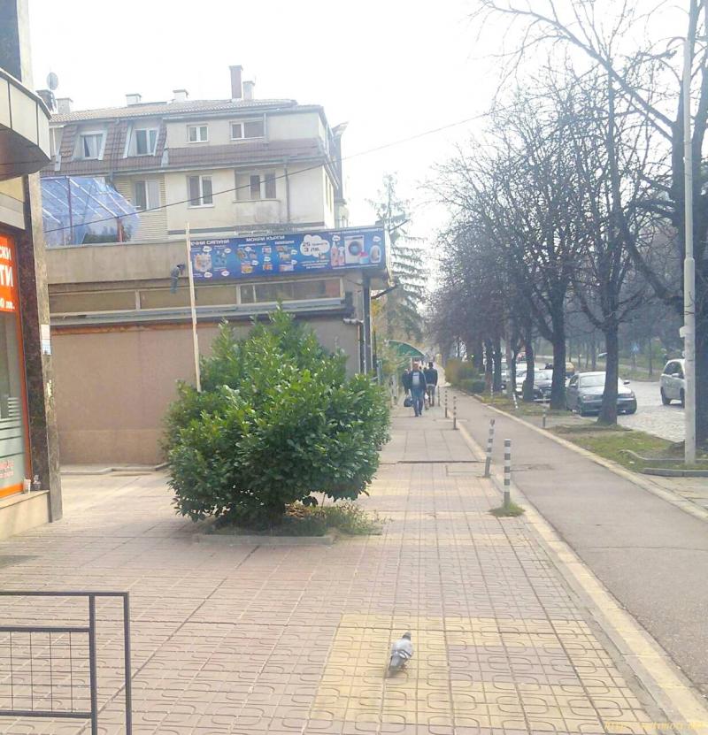 Снимка 2 на магазин в София - Бели Брези в категория недвижими имоти дава под наем - 50 м2 на цена  770 EUR 