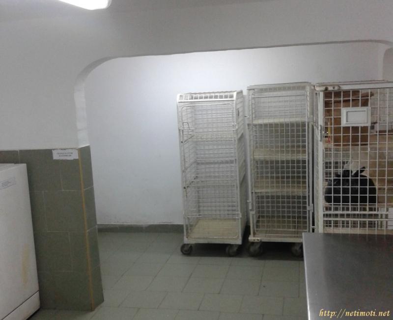 Снимка 8 на фабрика в Стара Загора - Самара 2 в категория недвижими имоти продава - 369 м2 на цена  160000 EUR 