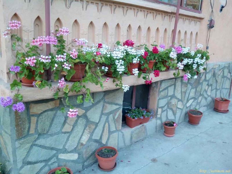 Снимка 3 на къща в Стара Загора област - с.Медникарово в категория недвижими имоти продава - 962 м2 на цена  0 EUR 