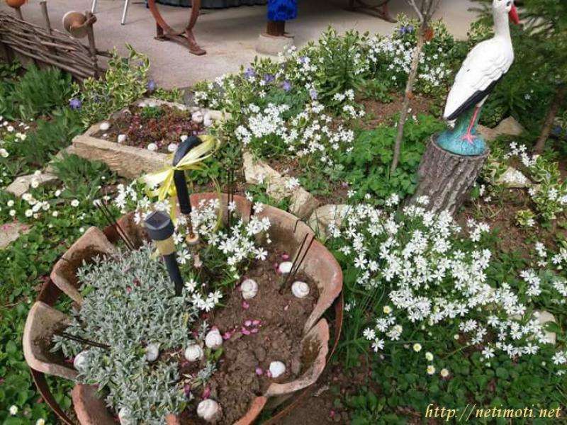 Снимка 4 на къща в Стара Загора област - с.Медникарово в категория недвижими имоти продава - 962 м2 на цена  0 EUR 