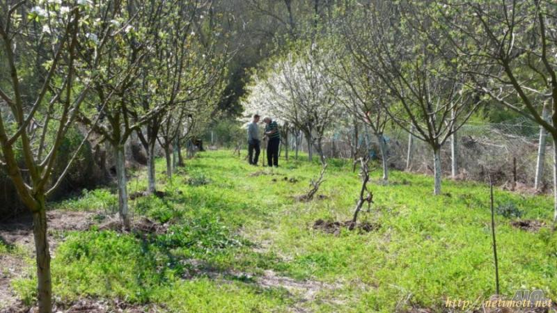 Снимка 2 на парцел в Бургас област - гр.Созопол в категория недвижими имоти продава - 500 м2 на цена  7000 EUR 
