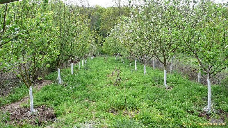 Снимка 4 на парцел в Бургас област - гр.Созопол в категория недвижими имоти продава - 500 м2 на цена  7000 EUR 