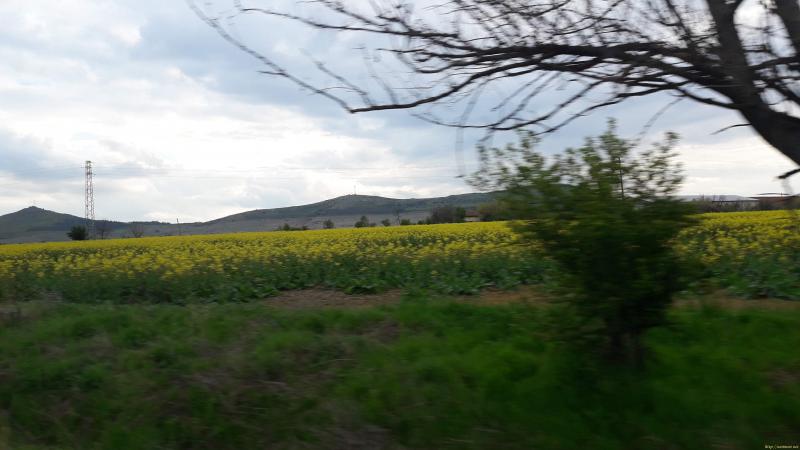 Оферта за недвижим имот с номер 19095: парцел в Пазарджик област - с.Блатница в категория продава - 975 м2 на цена 11000 EUR - снимка номер 5 Снимка 5 на парцел в Пазарджик област - с.Блатница в категория недвижими имоти продава - 975 м2 на цена 11000 EUR