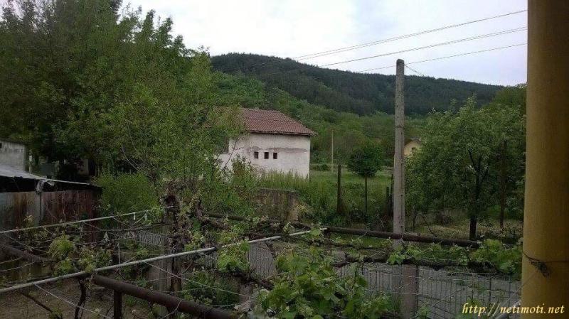 Оферта за недвижим имот с номер 17967: къща в Кюстендил област - с.Бабино в категория продава - 100 м2 на цена 80000 EUR - снимка номер 1 Снимка 1 на къща в Кюстендил област - с.Бабино в категория недвижими имоти продава - 100 м2 на цена 80000 EUR