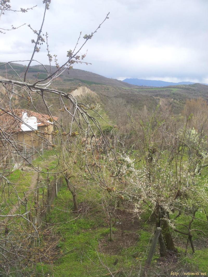 Снимка 8 на вила в Благоевград област - с.Любовка в категория недвижими имоти продава - 84 м2 на цена  20000 EUR 