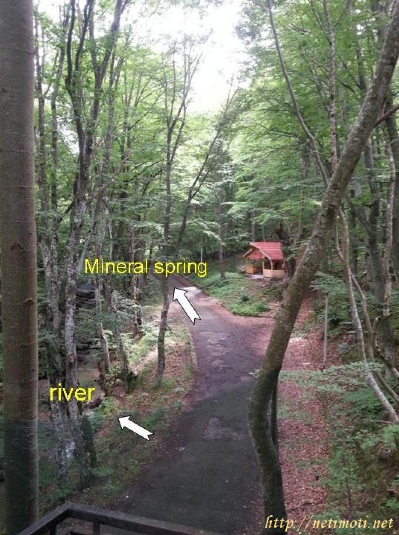 Снимка 3 на вила в Шумен област - гр.Върбица в категория недвижими имоти продава - 112 м2 на цена  33234 EUR 