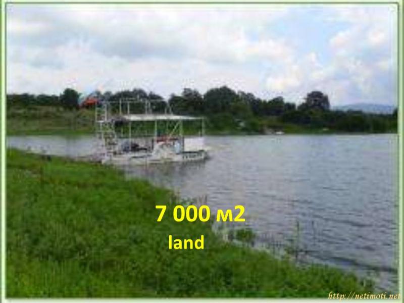 Снимка 2 на парцел в Шумен област - с.Сушина в категория недвижими имоти продава - 16000 м2 на цена  10226 EUR 