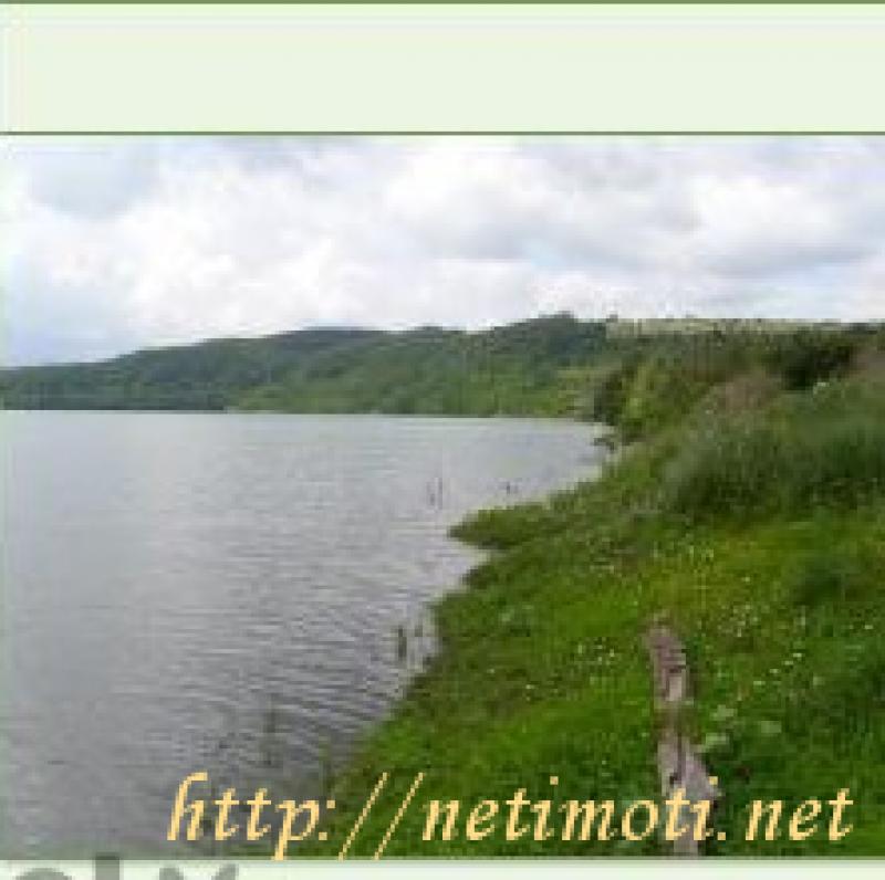 Снимка 3 на парцел в Шумен област - с.Сушина в категория недвижими имоти продава - 16000 м2 на цена  10226 EUR 