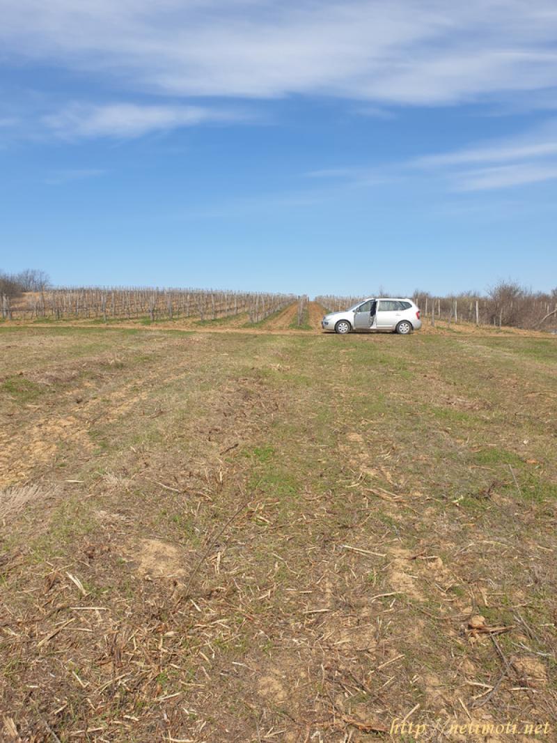 Оферта за недвижим имот с номер 20000: земеделска земя в Шумен област - с.Драгоево в категория продава - 4776 м2 на цена 639 EUR - снимка номер 0 Снимка 0 на земеделска земя в Шумен област - с.Драгоево в категория недвижими имоти продава - 4776 м2 на цена 639 EUR