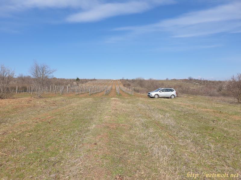 Оферта за недвижим имот с номер 20000: земеделска земя в Шумен област - с.Драгоево в категория продава - 4776 м2 на цена 639 EUR - снимка номер 1 Снимка 1 на земеделска земя в Шумен област - с.Драгоево в категория недвижими имоти продава - 4776 м2 на цена 639 EUR